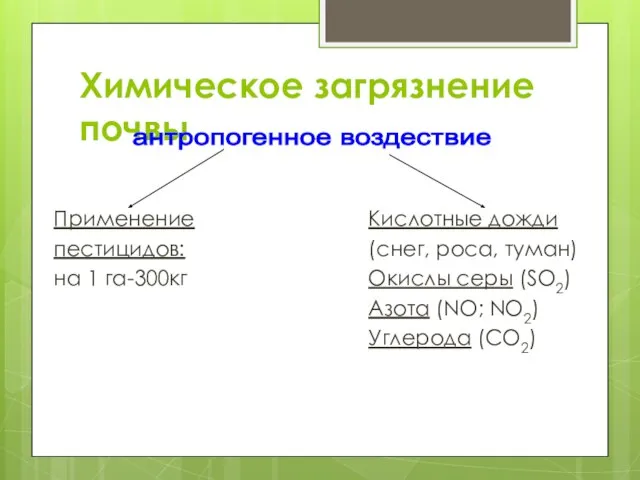 Химическое загрязнение почвы Применение пестицидов: на 1 га-300кг Кислотные дожди (снег,