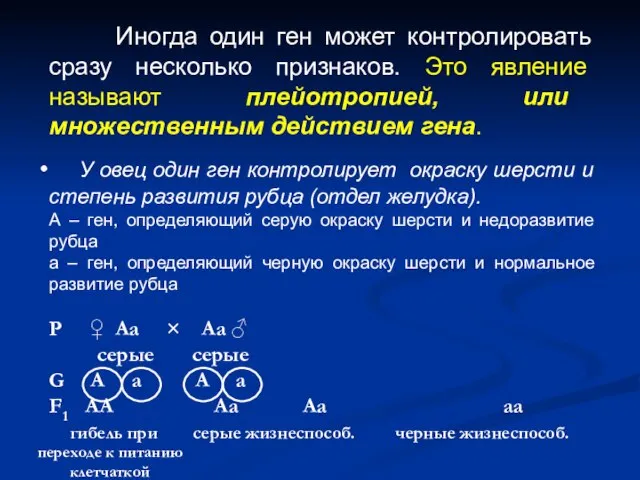 Иногда один ген может контролировать сразу несколько признаков. Это явление называют