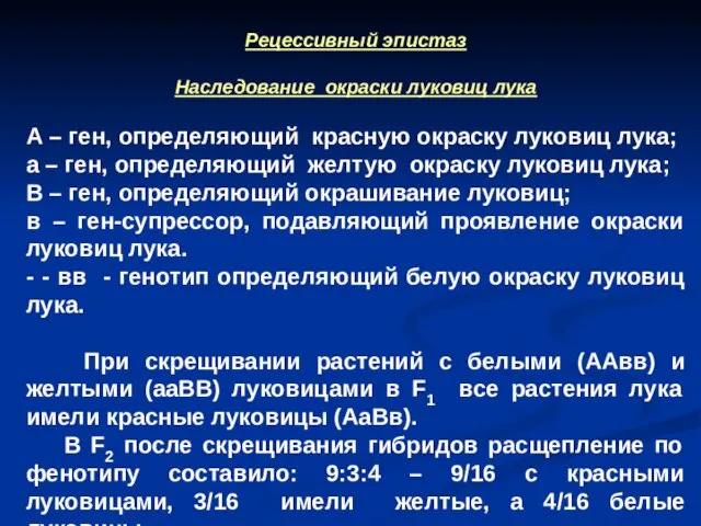 Рецессивный эпистаз Наследование окраски луковиц лука А – ген, определяющий красную