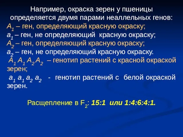 Например, окраска зерен у пшеницы определяется двумя парами неаллельных генов: A1