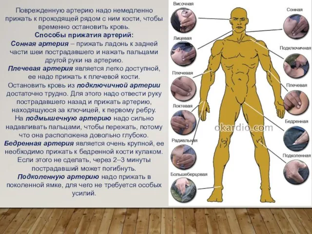 Поврежденную артерию надо немедленно прижать к проходящей рядом с ним кости,