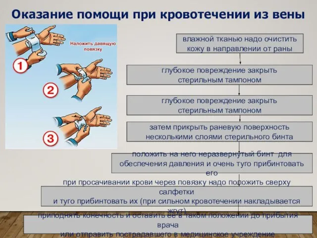 Оказание помощи при кровотечении из вены влажной тканью надо очистить кожу