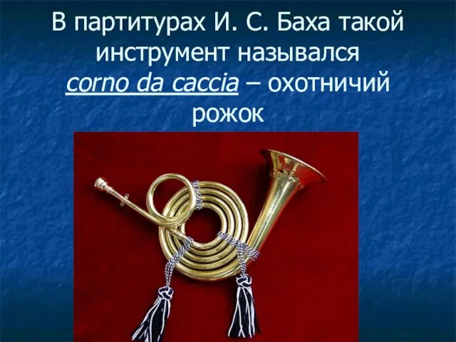 В партитурах И. С. Баха такой инструмент назывался corno da caccia – охотничий рожок