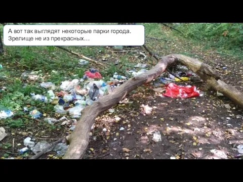 А вот так выглядят некоторые парки города. Зрелище не из прекрасных…