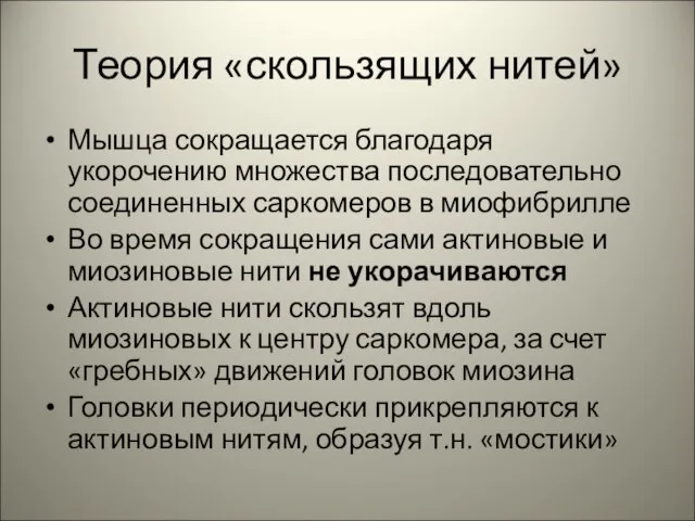 Теория «скользящих нитей» Мышца сокращается благодаря укорочению множества последовательно соединенных саркомеров