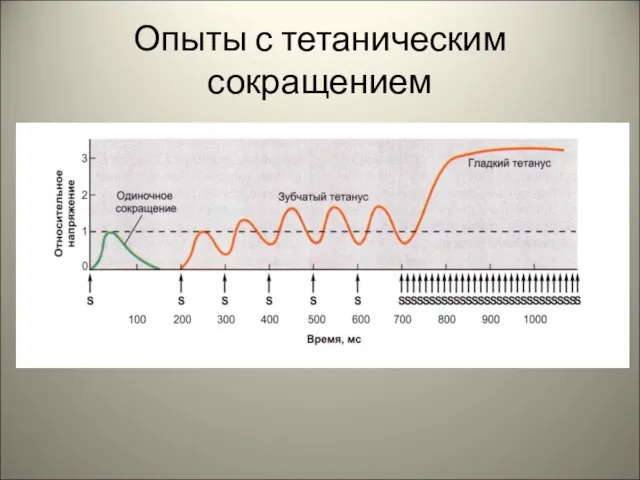 Опыты с тетаническим сокращением