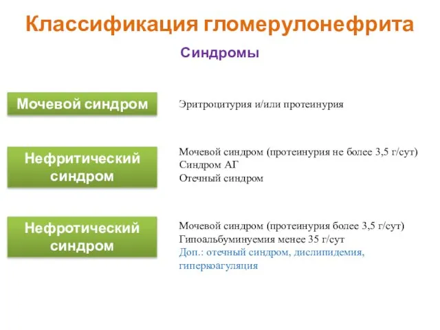 Классификация гломерулонефрита Синдромы Мочевой синдром Нефритический синдром Нефротический синдром Эритроцитурия и/или