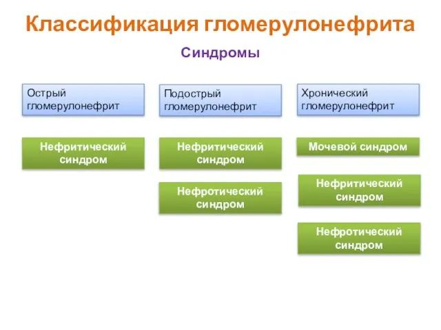 Классификация гломерулонефрита Синдромы Острый гломерулонефрит Подострый гломерулонефрит Хронический гломерулонефрит Нефритический синдром