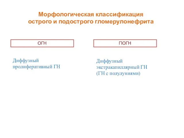 Морфологическая классификация острого и подострого гломерулонефрита ОГН ПОГН Диффузный пролиферативный ГН