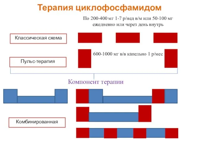 Терапия циклофосфамидом Классическая схема Пульс-терапия Комбинированная По 200-400 мг 1-7 р/нед