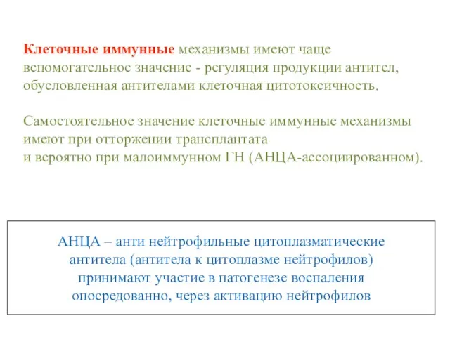 АНЦА – анти нейтрофильные цитоплазматические антитела (антитела к цитоплазме нейтрофилов) принимают