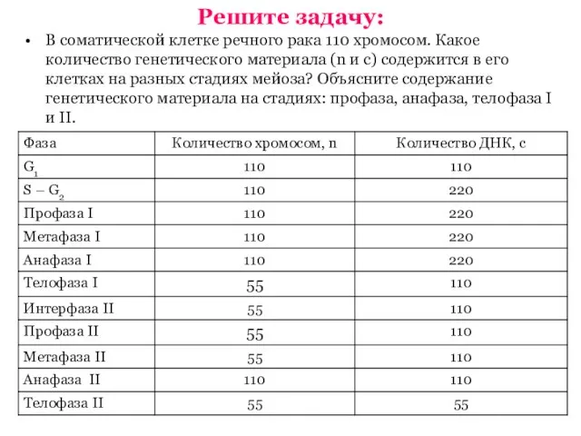 Решите задачу: В соматической клетке речного рака 110 хромосом. Какое количество