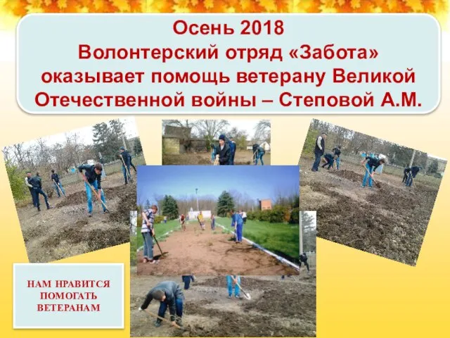 Осень 2018 Волонтерский отряд «Забота» оказывает помощь ветерану Великой Отечественной войны