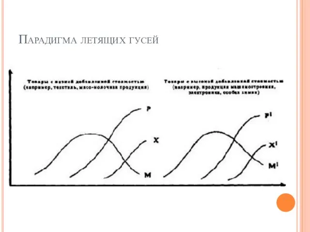 Парадигма летящих гусей