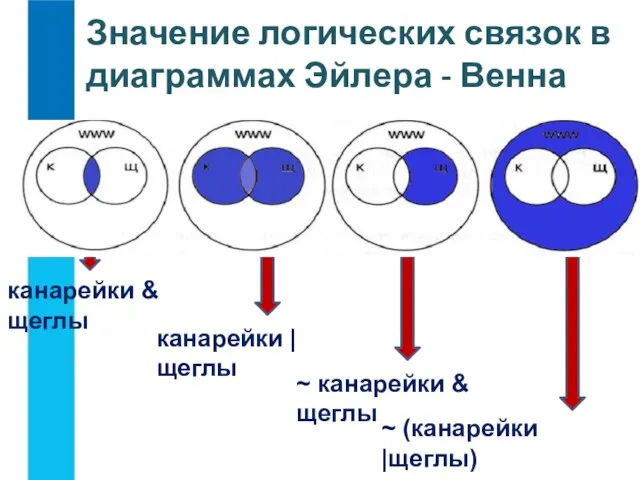 Значение логических связок в диаграммах Эйлера - Венна канарейки & щеглы