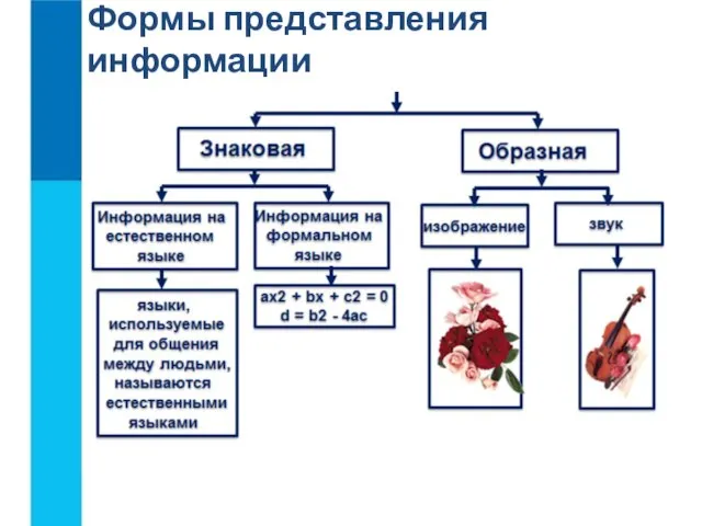 Формы представления информации