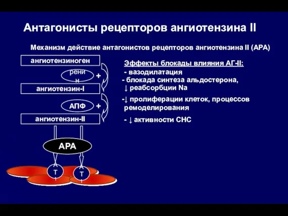 Механизм действие антагонистов рецепторов ангиотензина II (АРА) ангиотензиноген ангиотензин-I ангиотензин-II Эффекты