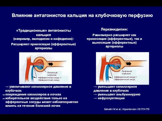 Влияние антагонистов кальция на клубочковую перфузию «Традиционные» антагонисты кальция (например, амлодипин