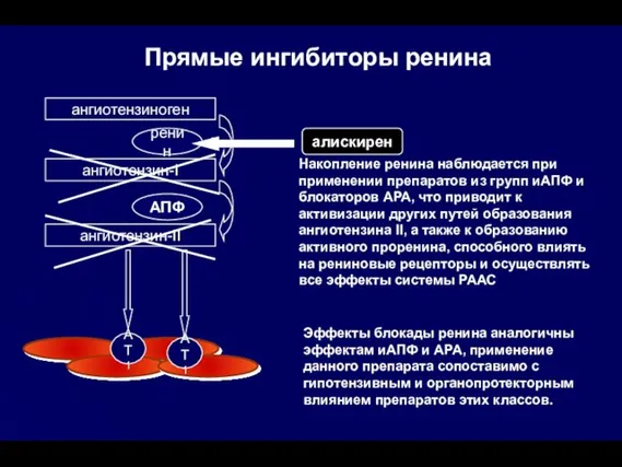 Прямые ингибиторы ренина ангиотензиноген ангиотензин-I ангиотензин-II АТ1 АТ1 ренин + АПФ