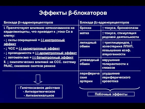 Эффекты β-блокаторов Побочные эффекты - Гипотензивное действие - Антиаритмическое - Антиангинальное