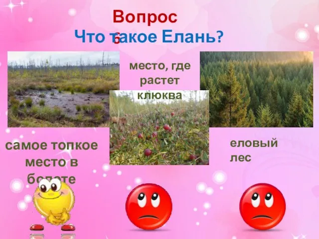 Вопрос 6 Что такое Елань? самое топкое место в болоте место, где растет клюква еловый лес