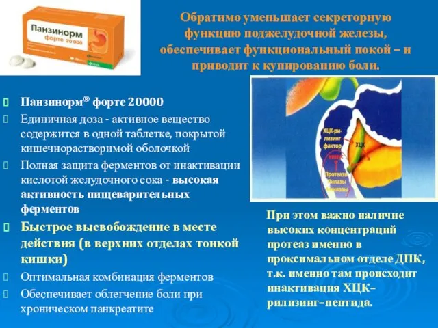 Обратимо уменьшает секреторную функцию поджелудочной железы, обеспечивает функциональный покой – и