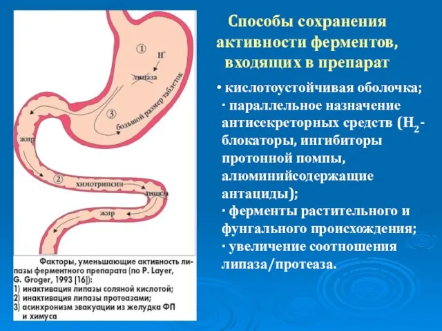 Cпособы сохранения активности ферментов, входящих в препарат кислотоустойчивая оболочка; · параллельное