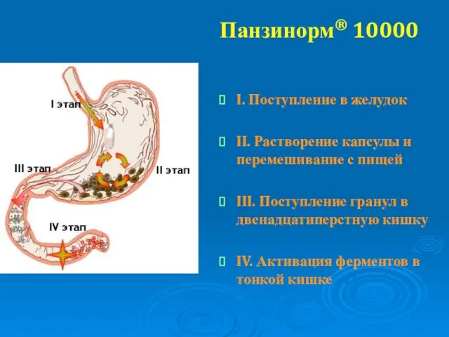 I. Поступление в желудок II. Растворение капсулы и перемешивание с пищей