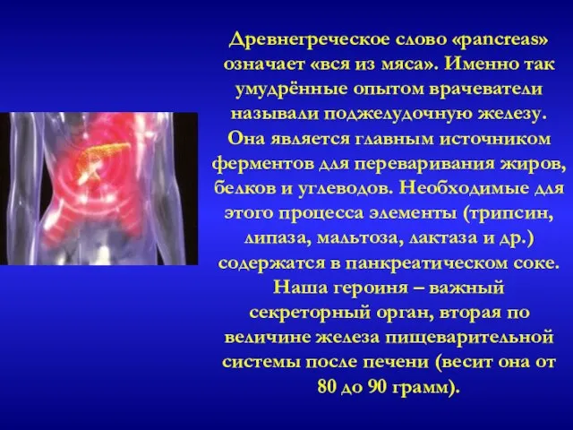 Древнегреческое слово «pancreas» означает «вся из мяса». Именно так умудрённые опытом