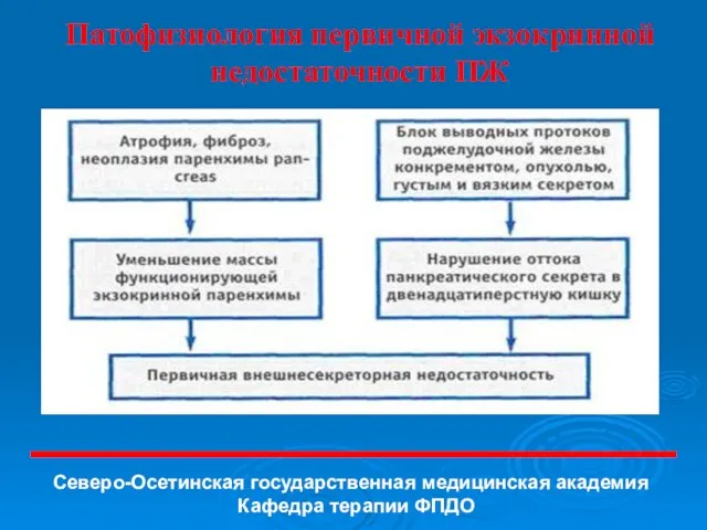 Патофизиология первичной экзокринной недостаточности ПЖ Северо-Осетинская государственная медицинская академия Кафедра терапии ФПДО