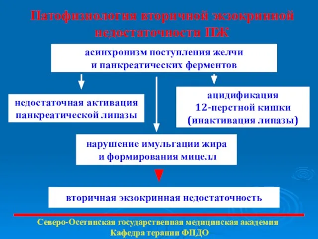 Патофизиология вторичной экзокринной недостаточности ПЖ Северо-Осетинская государственная медицинская академия Кафедра терапии