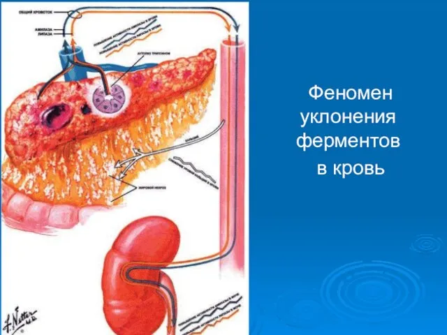 Феномен уклонения ферментов в кровь