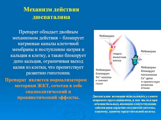 Механизм действия дюспаталина Препарат обладает двойным механизмом действия – блокирует натриевые