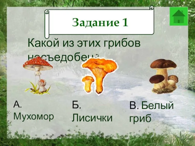 Задание 12 Какой из этих грибов несъедобен? А. Мухомор Б. Лисички В. Белый гриб Задание 1