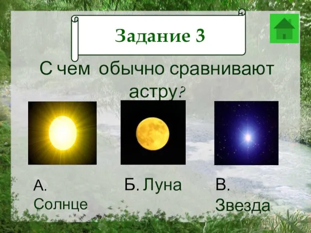 Задание 12 С чем обычно сравнивают астру? А. Солнце Б. Луна В. Звезда Задание 3