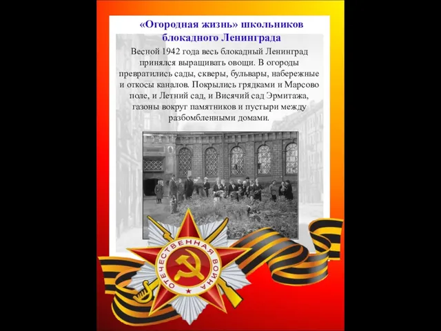 Весной 1942 года весь блокадный Ленинград принялся выращивать овощи. В огороды