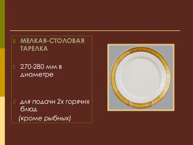 МЕЛКАЯ-СТОЛОВАЯ ТАРЕЛКА 270-280 мм в диаметре для подачи 2х горячих блюд (кроме рыбных)