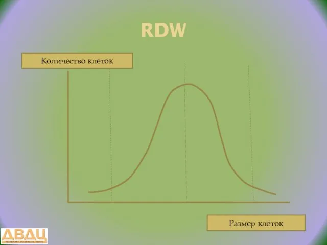 RDW Размер клеток Количество клеток