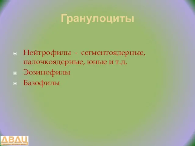 Гранулоциты Нейтрофилы - сегментоядерные, палочкоядерные, юные и т.д. Эозинофилы Базофилы