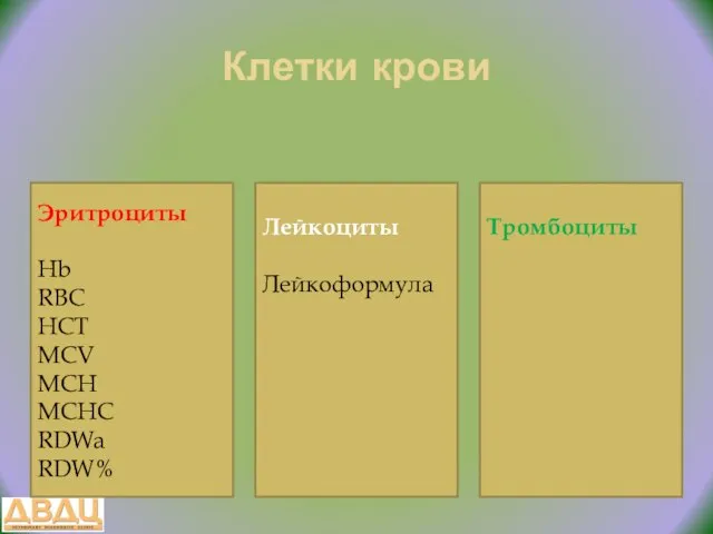 Клетки крови Эритроциты Hb RBC HCT MCV MCH MCHC RDWa RDW% Лейкоциты Лейкоформула Тромбоциты