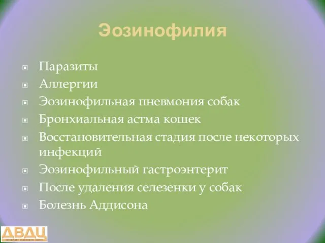 Эозинофилия Паразиты Аллергии Эозинофильная пневмония собак Бронхиальная астма кошек Восстановительная стадия