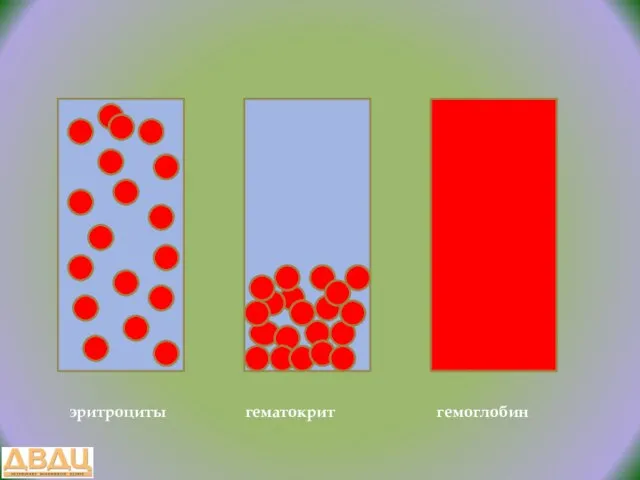 эритроциты гематокрит гемоглобин