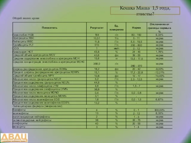 Кошка Маша 1,5 года, глисты?