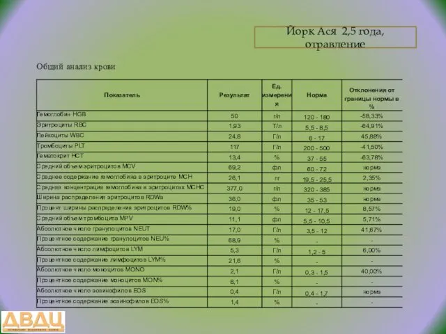 Йорк Ася 2,5 года, отравление