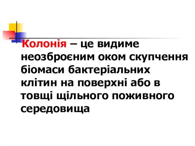 Колонія – це видиме неозброєним оком скупчення біомаси бактеріальних клітин на