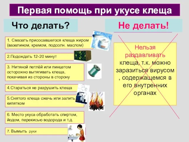 Первая помощь при укусе клеща Что делать? Не делать! 1. Смазать