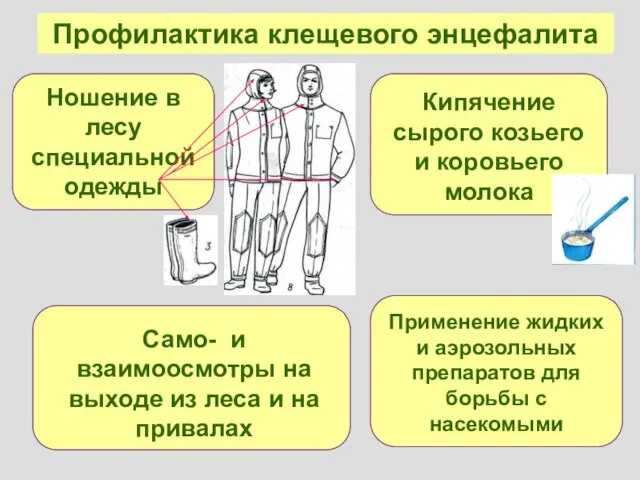 Профилактика клещевого энцефалита Ношение в лесу специальной одежды Само- и взаимоосмотры