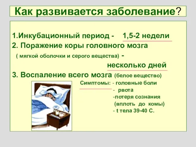 Как развивается заболевание? 1.Инкубационный период - 1,5-2 недели 2. Поражение коры