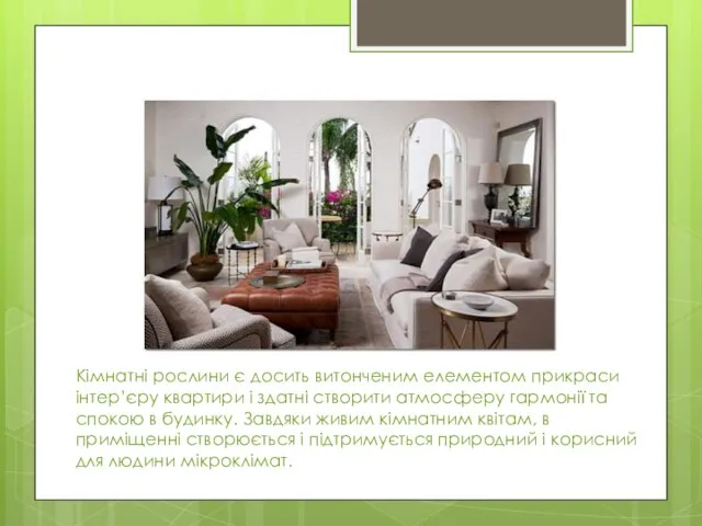 Кімнатні рослини є досить витонченим елементом прикраси інтер’єру квартири і здатні