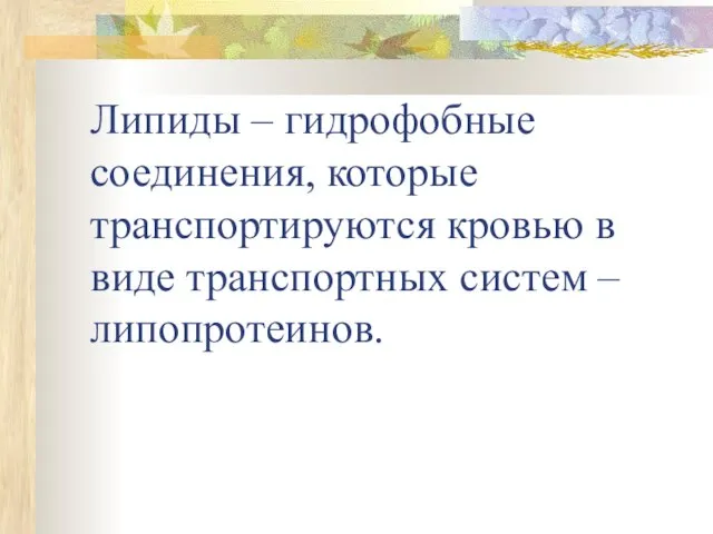 Липиды – гидрофобные соединения, которые транспортируются кровью в виде транспортных систем – липопротеинов.